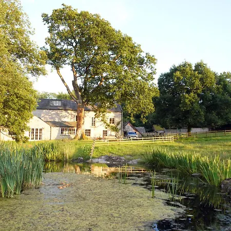 Holiday home Coldwell